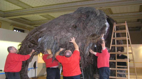 Model mamuta se v Národním muzeu dlouho "neohřál". Byl vyroben v roce 2006 pro úspěšnou výstavu Lovci mamutů. Model mamuta se v Národním muzeu dlouho "neohřál". Byl vyroben v roce 2006 pro úspěšnou výstavu Lovci mamutů. Maketa vážila 400 kilo