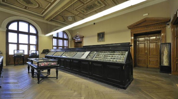 Expozice mineralogie a geologie budou zachovány v původních vitrínách dle arch. Josefa Schulze. Expozice mineralogie a geologie budou zachovány v původních vitrínách dle arch. Josefa Schulze.