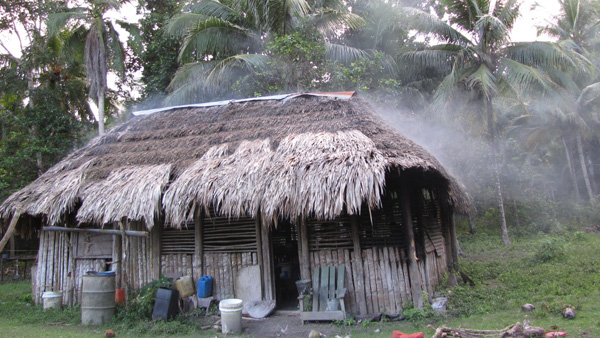 Mayská obydlí se tradičně staví ze dřeva, bambusu, nebo trávy. Moderní stavby bývají i zděné. Autor fotografie: Olga Vilímková fotografie slamene chyse