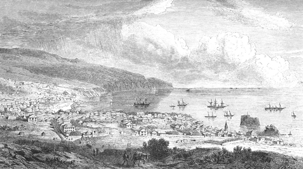 Funchal, hl. město Madeiry (Z Holubova cestopisu Sedm let v Jižní Africe, s. 5) Funchal, hl. město Madeiry (Z Holubova cestopisu Sedm let v Jižní Africe, s. 5)