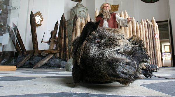 Jaké to je být Bivojem? I to si můžete vyzkoušet, nebo spíše vaše děti, které si mohou zkusit zvednout zavalitého "kance". FOTO: Tereza Petáková Jaké to je být Bivojem? I to si můžete vyzkoušet, nebo spíše vaše děti, které si mohou zkusit zvednout zavalitého "kance". FOTO: Tereza Petáková