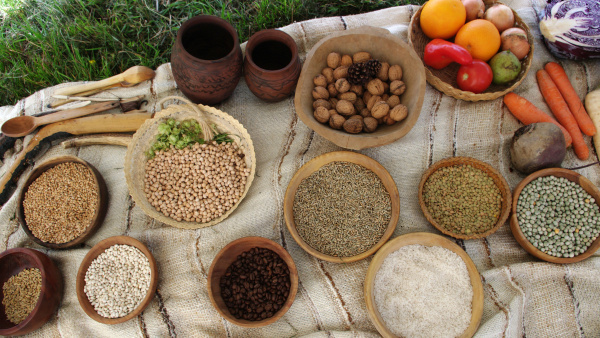 Různé druhy obilovin a luštěnin foto: různé druhy obilovin v miskách