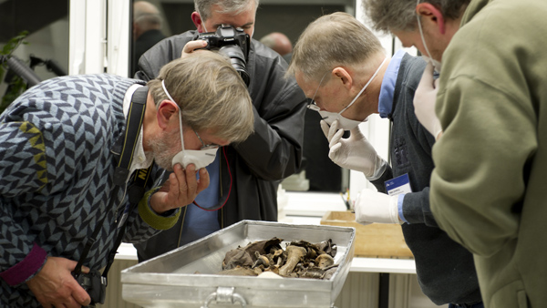Jens Vellev, Vladimír Kelnar, Niels Lynnerup a Petr Veleminský prohlížejí rakev s ostatky Tycha Braha. Foto: Jacob C. Raven, Aarhus University fotografie z výzkumu ostatků - vědci se sklánějí nad rakví