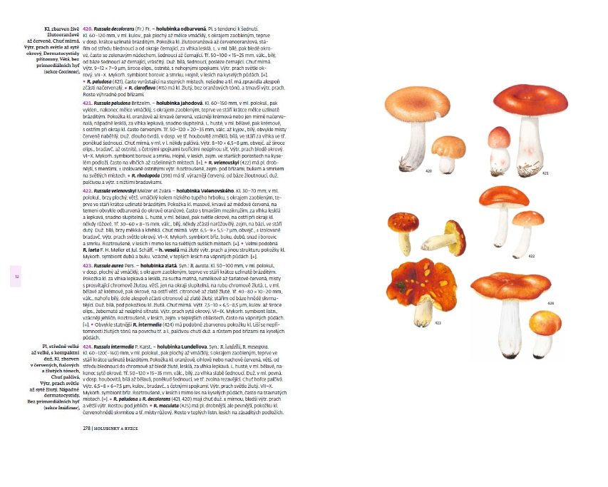 Ukázka dvoustrany z obrazové části knihy (několik holubinek) – vlevo jsou vždy popisy, vpravo ilustrace. Ukázka dvoustrany z obrazové části knihy (několik holubinek) – vlevo jsou vždy popisy, vpravo ilustrace.