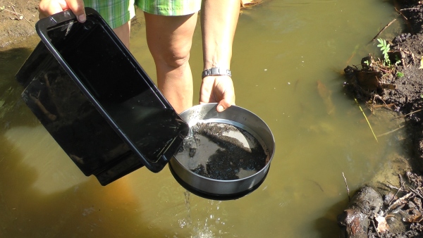 Zachytávání materiálů přítomných v rašelině pomocí síta se