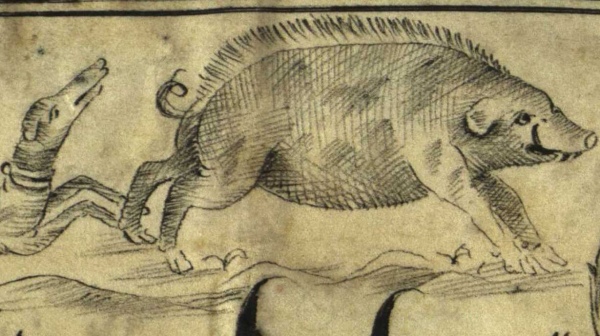 Perg-A1802, výuční list Josepha Schmidta lovčím, 20. 3. 1761 (detail) Perg-A1802, výuční list Josepha Schmidta lovčím, 20. 3. 1761 (detail)