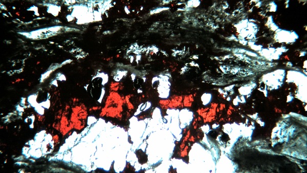 Červená zrna cinabaritu v křemeni z Horních Lubů, výbrus (tenká destička), šířka záběru 5 mm Červená zrna cinabaritu v křemeni z Horních Lubů, výbrus (tenká destička), šířka záběru 5 mm