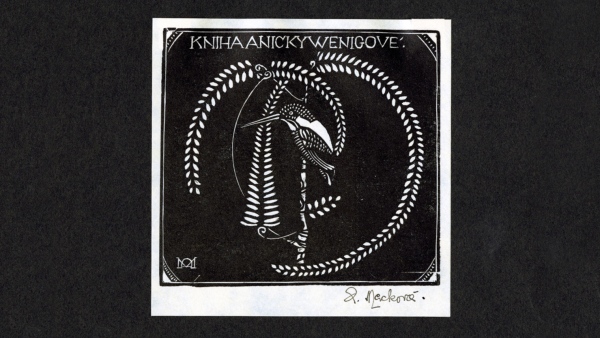 Autorka Anna Macková. Kniha Aničky Wenigové. Ledňáček na stromě. Dřevoryt, 1916. Autorka Anna Macková. Kniha Aničky Wenigové. Ledňáček na stromě. Dřevoryt, 1916.