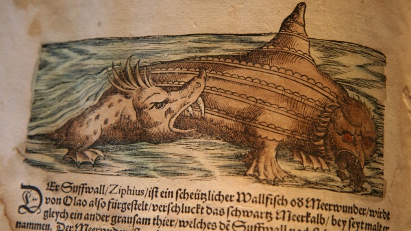 Souboj mořských oblud