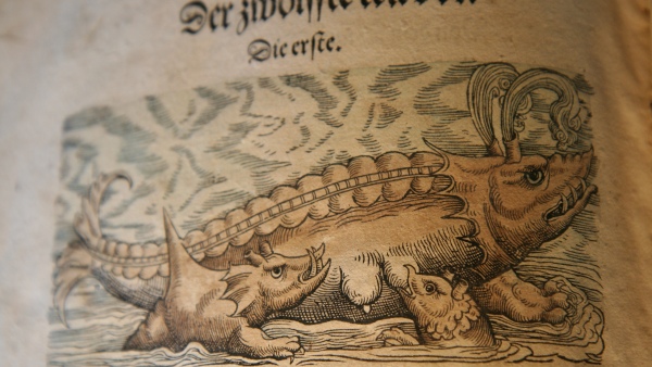 Dobová představa o velrybě