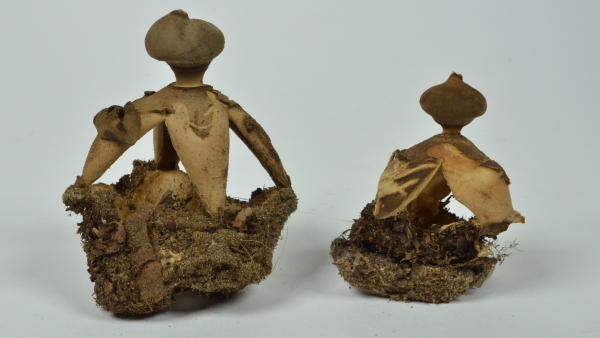 Hvězdovka klenbová (Geastrum fornicatum) Hvězdovka klenbová (Geastrum fornicatum)