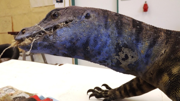 Nevhodný nátěr (stav před odstraněním)