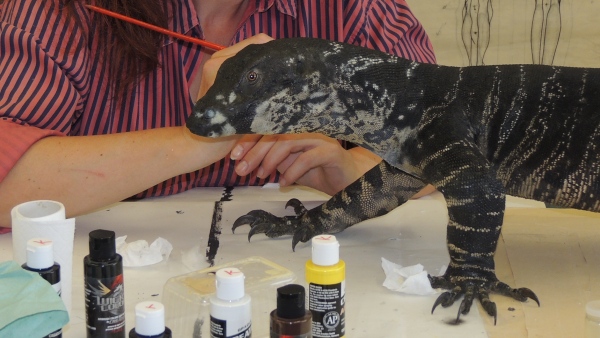 Oprava hlavy varana pestrého