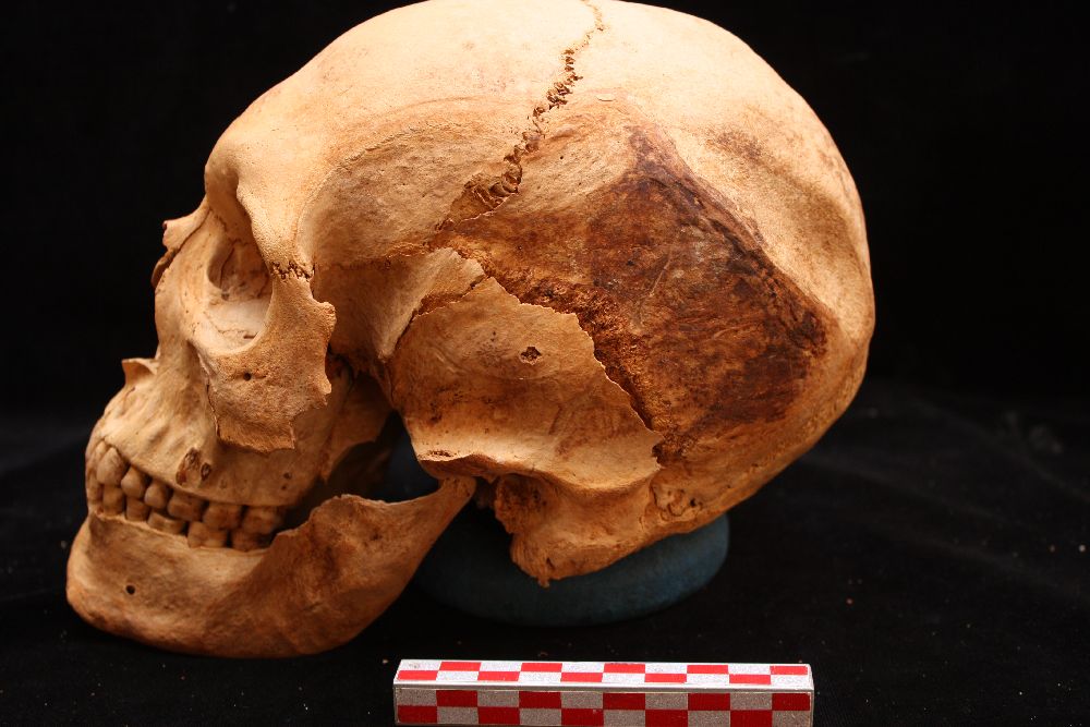 Lebka kněze Neferinpua v roce 2010 (foto Petra Havelková)