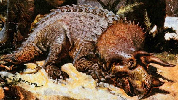 Detail obálky prvního sešitu Divů prasvěta Detail obálky prvního sešitu Divů prasvěta