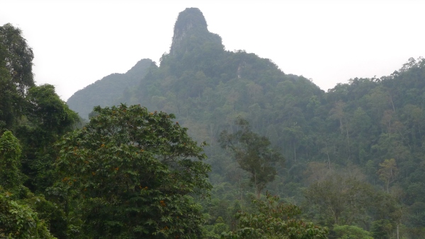 Prostředí severovietnamského krasu, které je domovem tohoto nového druhu Prostředí severovietnamského krasu, které je domovem tohoto nového druhu