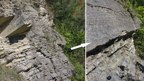 Profil v Černé rokli u Kosoře na okraji Prahy odkrývá dopady klimatické změny, ke které došlo před asi 410 miliony lety. Nápadné rozhraní přibližně v polovině skalní stěny vyznačuje ukládání odlišného typu vápenců jako důsledku globálního oteplování ve spodním devonu (foto: František Vacek, Národní muzeum) Profil v Černé rokli u Kosoře na okraji Prahy odkrývá dopady klimatické změny, ke které došlo před asi 410 miliony lety. Nápadné rozhraní přibližně v polovině skalní stěny vyznačuje ukládání odlišného typu vápenců jako důsledku globálního oteplování ve spodním devonu. Profil v Černé rokli u Kosoře na okraji Prahy odkrývá dopady klimatické změny, ke které došlo před asi 410 miliony lety. Nápadné rozhraní přibližně v polovině skalní stěny vyznačuje ukládání odlišného typu vápenců jako důsledku globálního oteplování ve spodním devonu (foto: František Vacek, Národní muzeum)