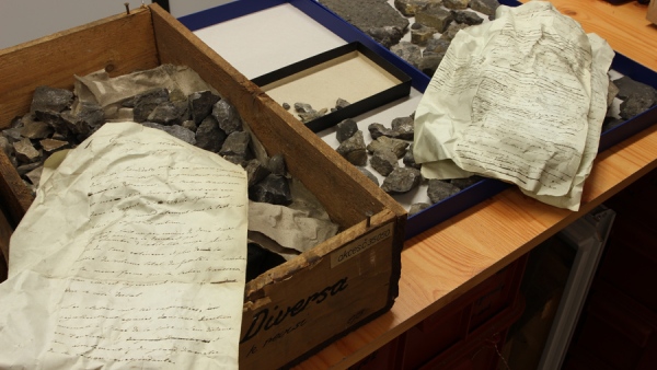 Jedna z beden označená nápisem DIVERSA k revisi a číslem vyhrazeným Barrandově sbírce. Kromě směsi prvohorních zkamenělin obsahuje Barrandovy rukopisy „Systême silurien du centre de la Bohême“ použité jako balicí papír. Snímek z vybalování sbírek v depozitářích přírodovědeckého muzea v Horních Počernicích. (zdroj: Národní muzeum) Jedna z beden označená nápisem DIVERSA k revisi a číslem vyhrazeným Barrandově sbírce. Kromě směsi prvohorních zkamenělin obsahuje Barrandovy rukopisy „Systême silurien du centre de la Bohême“ použité jako balicí papír. Snímek z vybalování sbírek v depozitářích přírodovědeckého muzea v Horních Počernicích. (zdroj: Národní muzeum)