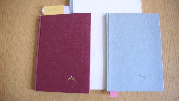 Obaly Havlových her Horský hotel a Audience z edice Petlice v plátěné vazbě. Obaly Havlových her Horský hotel a Audience z edice Petlice v plátěné vazbě.