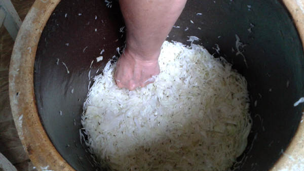 Zelí lze upěchovat pouze rukou. Dbáme však na to, abychom vytlačili všechen vzduch. foto pěchování zelí do soudku