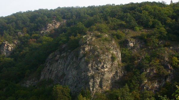 Hardeggské svahy s Hardeggskou vyhlídkou (na snímku vlevo nahoře), pohled od řeky Dyje z nejmenšího rakouského města Hardegg. Na skalních stepích v okolí Hardeggské vyhlídky bylo zjištěno více než 950 druhů motýlů. Mezi jinými i velmi vzácná krásněnka Epicallima bruandella (Ragonot, 1889), která zde byla v roce 2000 objevena jako nový druh pro Českou republiku a dosud nebyla jinde v Česku nalezena. Hardeggské svahy s Hardeggskou vyhlídkou (na snímku vlevo nahoře), pohled od řeky Dyje z nejmenšího rakouského města Hardegg. Na skalních stepích v okolí Hardeggské vyhlídky bylo zjištěno více než 950 druhů motýlů. Mezi jinými i velmi vzácná krásněnka Epicallima bruandella (Ragonot, 1889), která zde byla v roce 2000 objevena jako nový druh pro Českou republiku a dosud nebyla jinde v Česku nalezena.