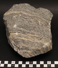 Tato hornina z jihozápadního Grónska představuje jednu z nejstarších součástí kontinentální zemské kůry. Původní žula byla v důsledku vysokých tlaků a teplot přeměněna na ortorulu (zdroj: Národní muzeum)