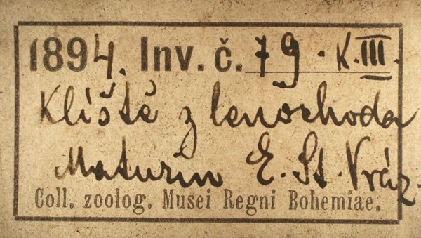 Původní inventární štítek s informací o lokalitě, sběrateli a starém přírůstkovém čísle (zdroj: Národní muzeum)