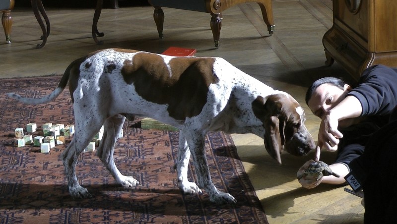 Sladit herecké výkony psího herce a želvy nebylo úplně jednoduché (zdroj: Národní muzeum) Sladit herecké výkony psího herce a želvy nebylo úplně jednoduché (zdroj: Národní muzeum)