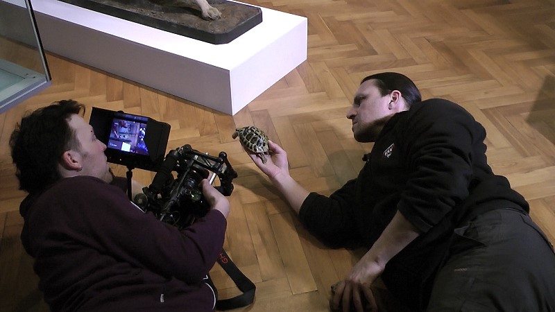 Želvy se před kamerou střídaly (zdroj: Národní muzeum) Želvy se před kamerou střídaly (zdroj: Národní muzeum)