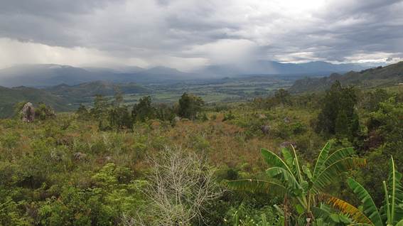 Baliemské údolí. Téměř 80 km dlouhé a 20 km široké údolí leží v srdci Papui obklopeno ze všech světových stran vysokými horami a je s podivem, že bylo pro západní civilizaci objeveno náhodně až v roce 1938. Tehdy v rámci třetí expedice amerického zoologa Richarda Archbolda na Novou Guineu bylo objeveno v rámci průzkumného letu, při němž byly hledány horské řeky a jezera vhodné k přírodovědným průzkumům. Již tehdy bylo údolí odlesněné a místní obyvatelé – Daniové – zde intenzivně zemědělsky hospodařili. Zdroj: Národní muzeum Baliemské údolí. Téměř 80 km dlouhé a 20 km široké údolí leží v srdci Papui obklopeno ze všech světových stran vysokými horami a je s podivem, že bylo pro západní civilizaci objeveno náhodně až v roce 1938. Tehdy v rámci třetí expedice amerického zoologa Richarda Archbolda na Novou Guineu bylo objeveno v rámci průzkumného letu, při němž byly hledány horské řeky a jezera vhodné k přírodovědným průzkumům. Již tehdy bylo údolí odlesněné a místní obyvatelé – Daniové – zde intenzivně zemědělsky hospodařili. Zdroj: Národní muzeum