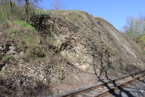 Na lokalitě Železniční zářez v Praze - Hlubočepích je možné nalézt hojné zbytky kapradin devonského stáří (lokalita 1). Na lokalitě Železniční zářez v Praze - Hlubočepích je možné nalézt hojné zbytky kapradin devonského stáří (lokalita 1).