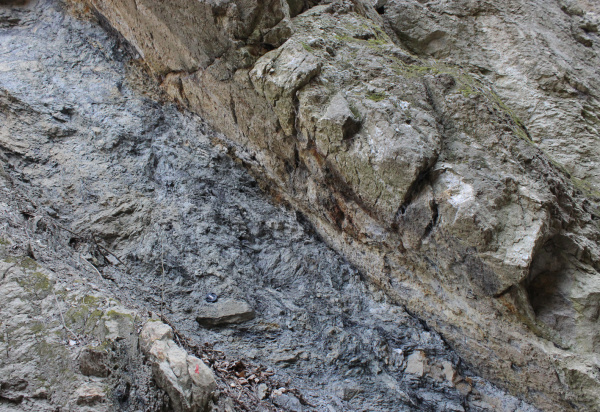 Zlom odkrytý v opuštěném lomu poblíž Hlubočepského jezírka je dalším projevem deformace hornin během vrásnění nebo v mladších obdobích (lokalita 4). Zlom odkrytý v opuštěném lomu poblíž Hlubočepského jezírka je dalším projevem deformace hornin během vrásnění nebo v mladších obdobích (lokalita 4).