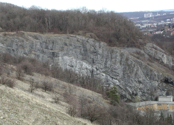 Ve spodní části stěny Svatoprokopského lomu je odkryta kalová kupa – útvar podobný korálovému útesu (lokalita 5). Ve spodní části stěny Svatoprokopského lomu je odkryta kalová kupa – útvar podobný korálovému útesu (lokalita 5).