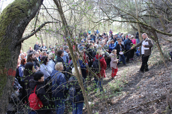 Kde v Praze před stovkami milionů let soptila podmořská sopka a kde uvidíme pozůstatky dávných středočeských velehor? Po kom se jmenuje Barrandov? To vše se dozvěděli návštěvníci exkurze od Františka Vacka z Mineralogicko – petrologického oddělení Národního muzea Kde v Praze před stovkami milionů let soptila podmořská sopka a kde uvidíme pozůstatky dávných středočeských velehor? Po kom se jmenuje Barrandov? To vše se dozvěděli návštěvníci exkurze od Františka Vacka z Mineralogicko – petrologického oddělení Národního muzea