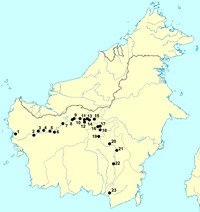 Itinerář Boháčovy expedice na Borneo roku 1920 (zdroj: Mlíkovský)