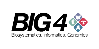 Logo projektu BIG4, do kterého se zapojilo také entomologické oddělení Národního muzea Logo projektu BIG4, do kterého se zapojilo také entomologické oddělení Národního muzea