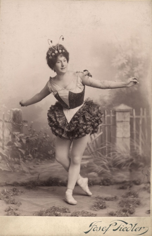 Fotografie. Františka ze Schöpfů, 1898. Autor fotografie Ateliér Josef Fiedler, Praha. Zdroj: Národní muzeum