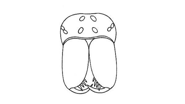 Portrét křižáka, na kterém je vidět typické rozložení jeho osmi očí. Portrét křižáků, na kterém je vidět typické rozložení jeho osmi očí.