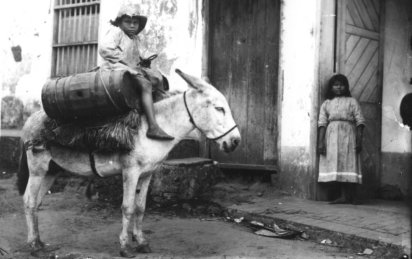 Malý chlapec na oslu - prodavač vody. Venezuela, Maturin, 1892-1893. Zdroj: Národní muzeum Fotografie. Malý chlapec na oslu - prodavač vody. Venezuela, Maturin, 1892-1893. Zdroj: Národní muzeum