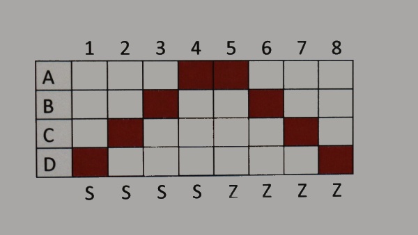 Vzor užitý ve videu. Zdroj: Národní muzeum Obrázek. Vzor užitý ve videu. Zdroj: Národní muzeum