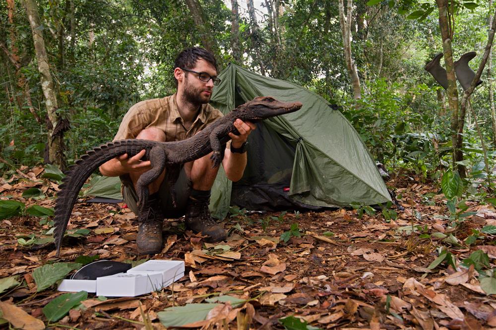 Účastník expedice Matej Dolinay v terénu. Foto: M. Dolinay Matej Dolinay držící krokodýla