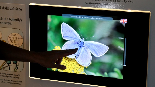 Víte, co mají společné LCD monitory a motýlí křídla? I to se dozvíte na výstavě. Zdroj: Národní muzeum