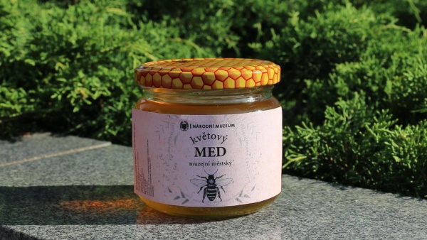 Ukázka medu stočeného z úlů v arboretu Národního muzea. Zdroj: Národní muzeum