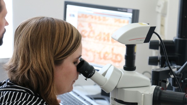 Zkoumání Rukopisů pod mikroskopem. Zdroj: Národní muzeum