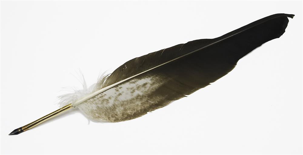 Pero s orlím brkem, s nímž T. G. Masaryk podepsal deklaraci o založení Demokratické unie. Zdroj: Národní muzeum