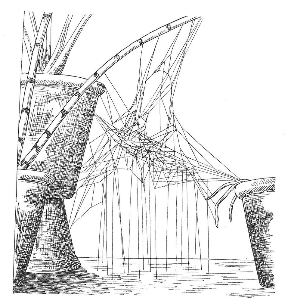 Síť snovačky sestává z „neuspořádané“ pavučiny, ze kterých vedou k podkladu jednotlivá lepkavá vlákna. Převzato z Nielsena (1932). Síť snovačky. Převzato z Nielsena (1932).