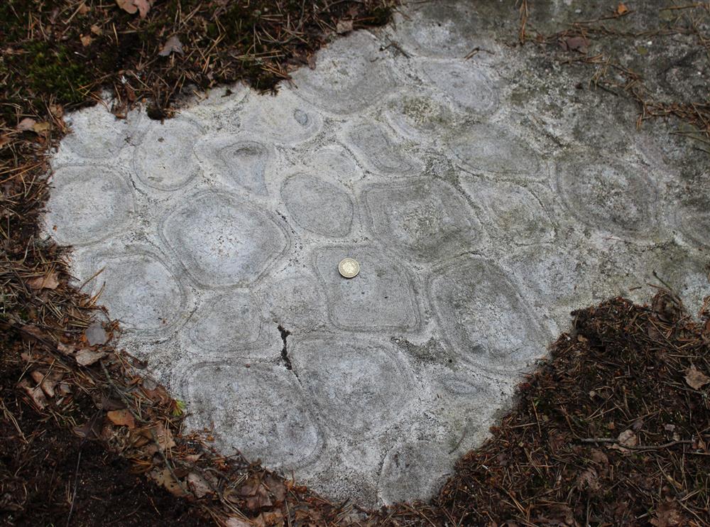 Drobný výchoz orbikulárního syenodioritu v národním parku Nuuksio v jižním Finsku. Foto: F. Vacek. Drobný výchoz orbikulárního syenodioritu v národním parku Nuuksio v jižním Finsku. Foto: F. Vacek.